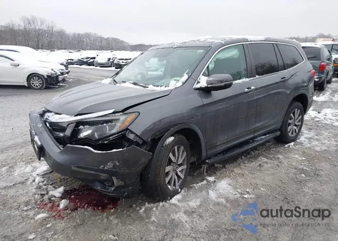 2019 Honda Pilot Ex из США, поврежденный, VIN 5FNYF6H31KB070078
